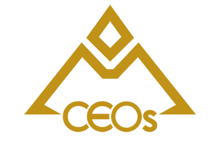 Inclusive CEOs